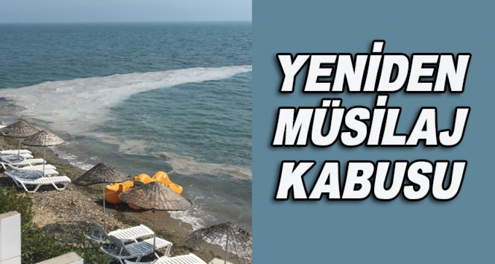 Gemlik Sahillerinde Yine Müsilaj Kabusu