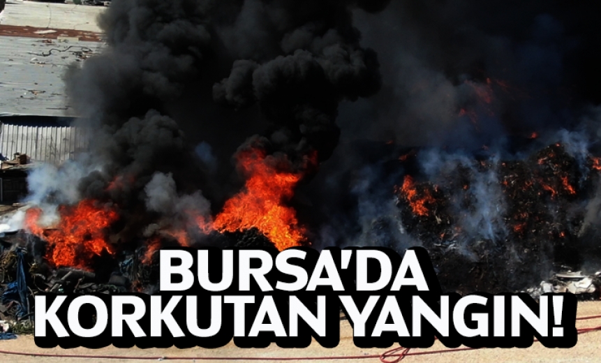 Geri Dönüşüm Tesisinde Korkutan Yangın