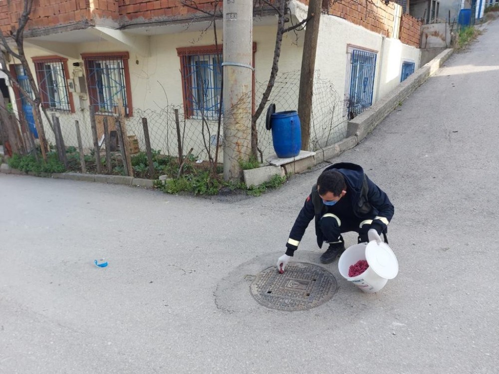 Haşerelere Karşı İlâçlama