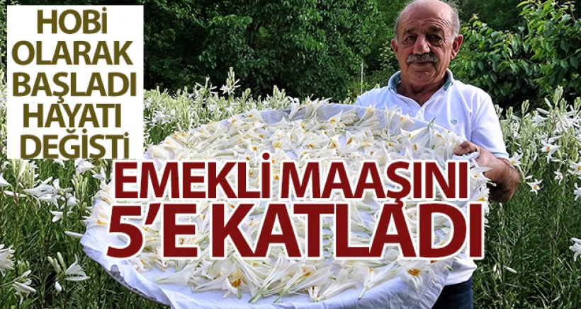 Hobi Olarak Başladı Hayatı Değişti