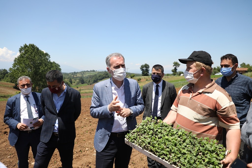 İnegölde İlk Ekinezya Ekimi Gerçekleşti