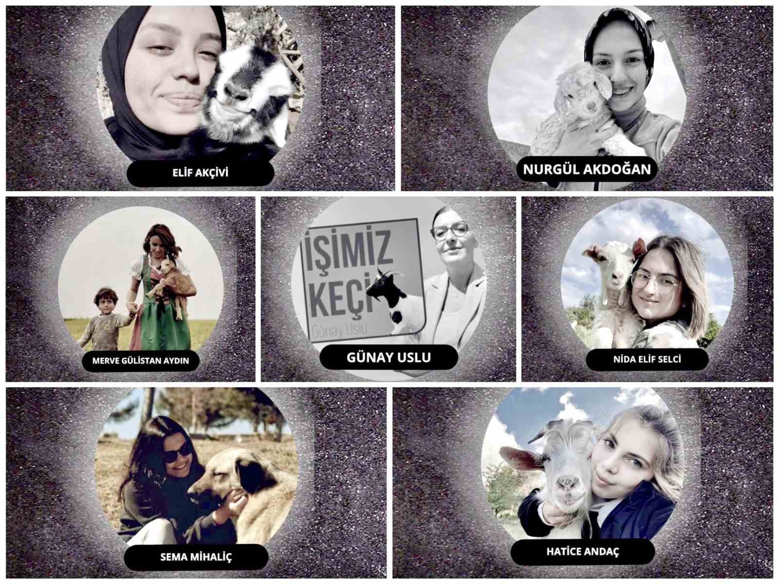 İnegölde Küçükbaş Hayvancılık Festivali Başlıyor