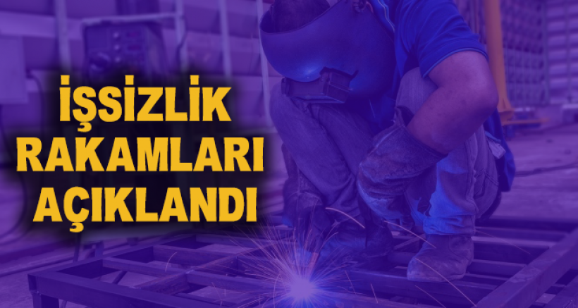 İşsizlik Oranı Yüzde 13,9 Seviyesinde Gerçekleşti