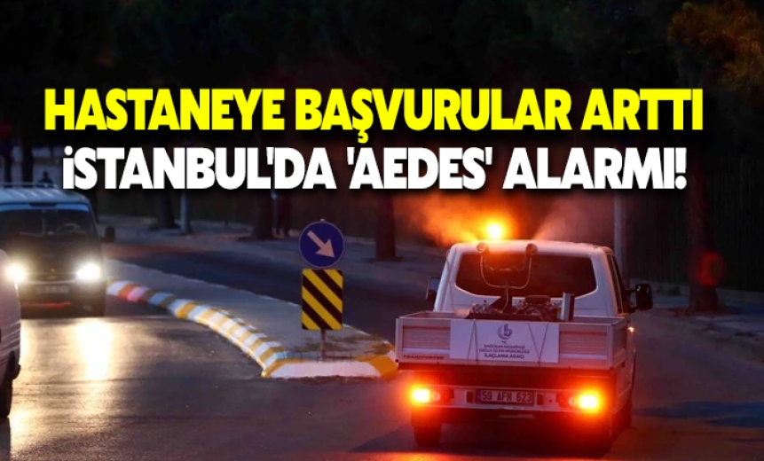 İstanbul'da 'Aedes' cinsi sivrisinekle mücadele