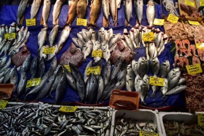 İstanbul'da balık fiyatlarında düşüş!