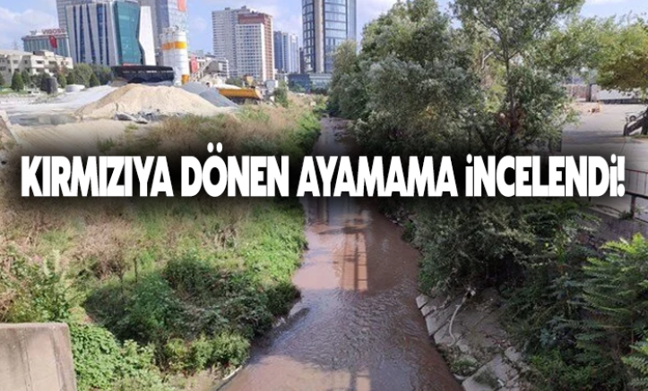 İstanbul'da kırmızıya dönen Ayamama Deresi incelendi