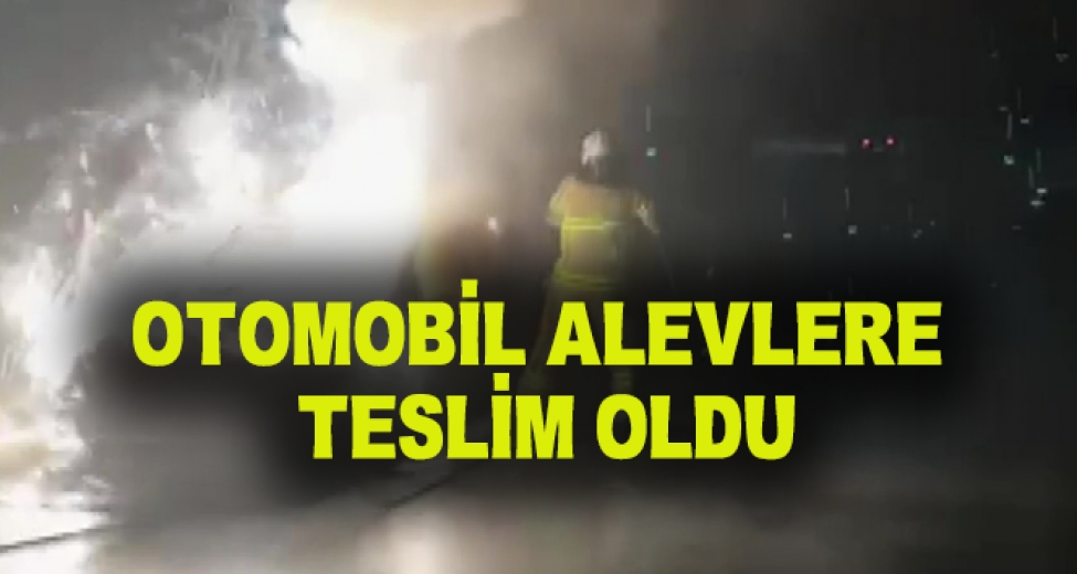 İznik'te Otomobil Alev Alev Yandı