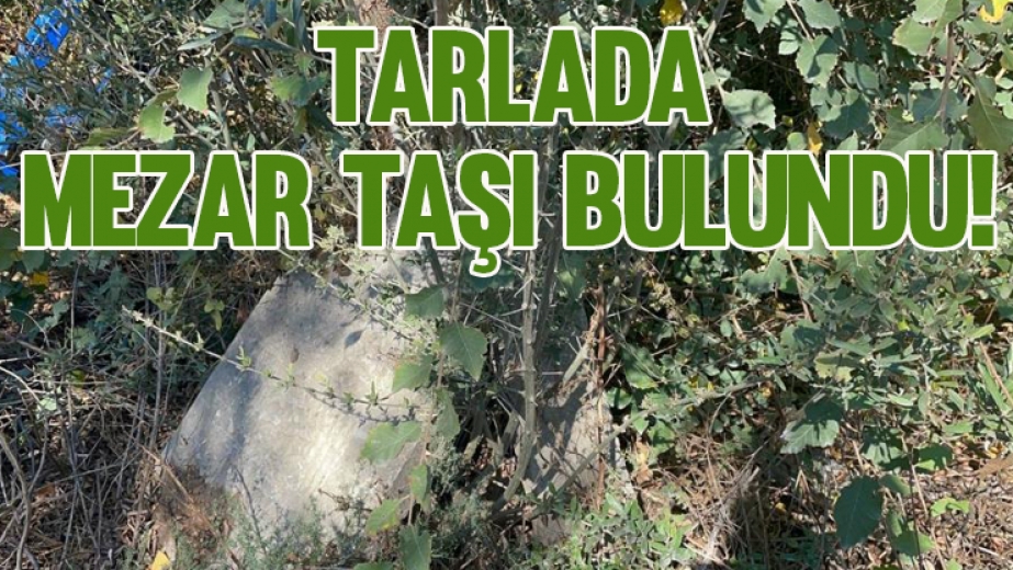 İznik'te Tarlada Mezar Taşı Bulundu!