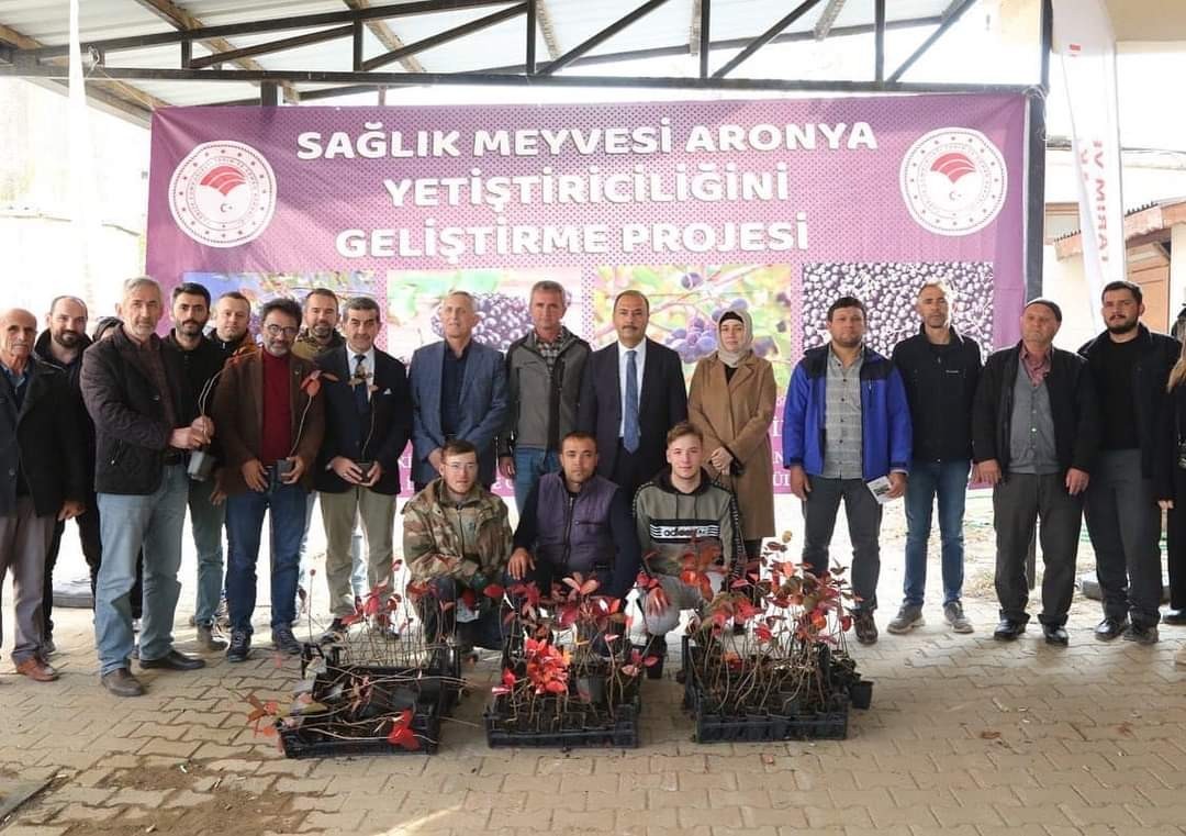 İznik'in Bereketi, Sağlık Meyvesi Aronya İle Buluşuyor