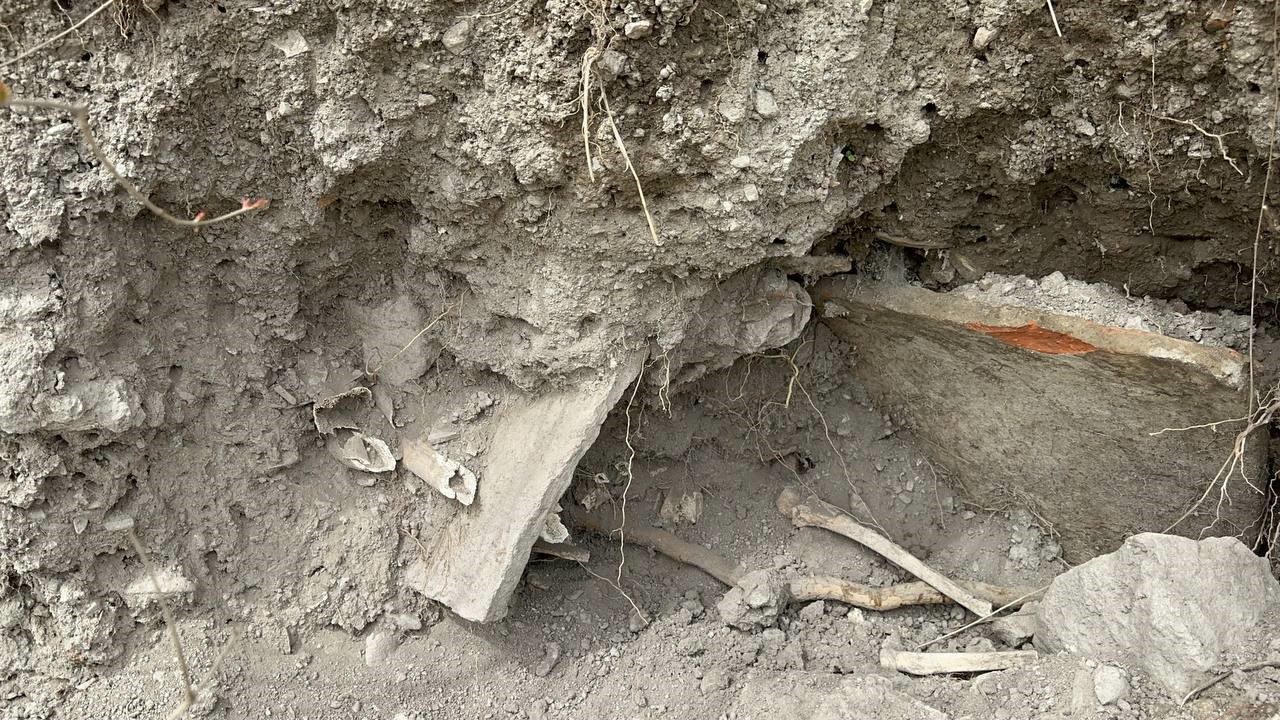 İznikte Bizans Dönemine Ait Mezar Ve İnsan Kemikleri Bulundu