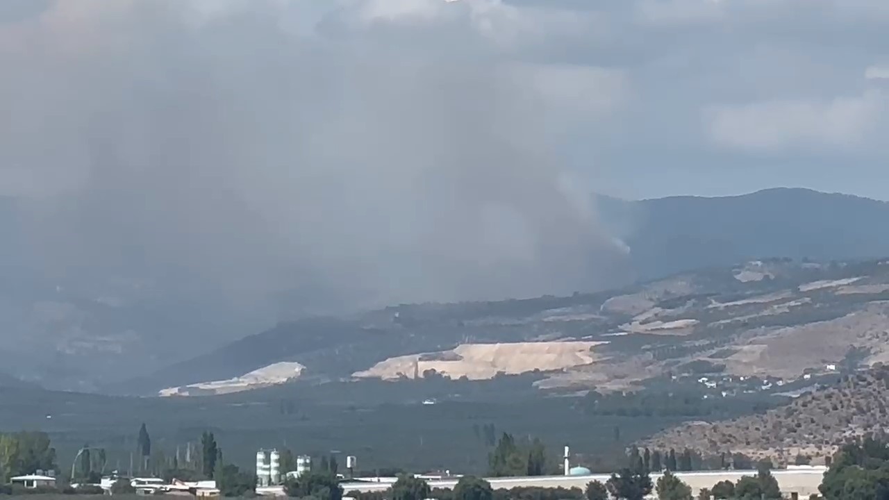 İznikte Korkutan Orman Yangını