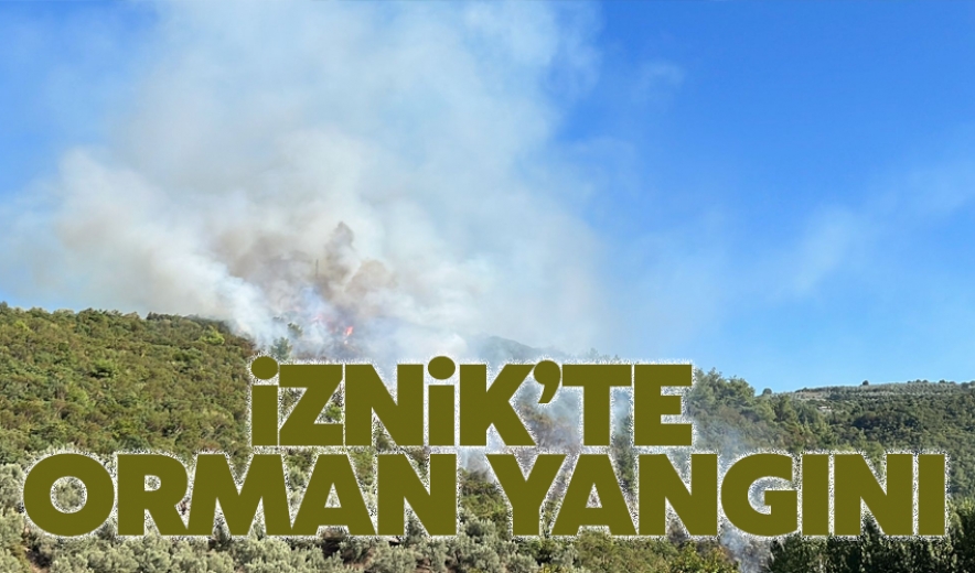 İznik'te Orman Yangını