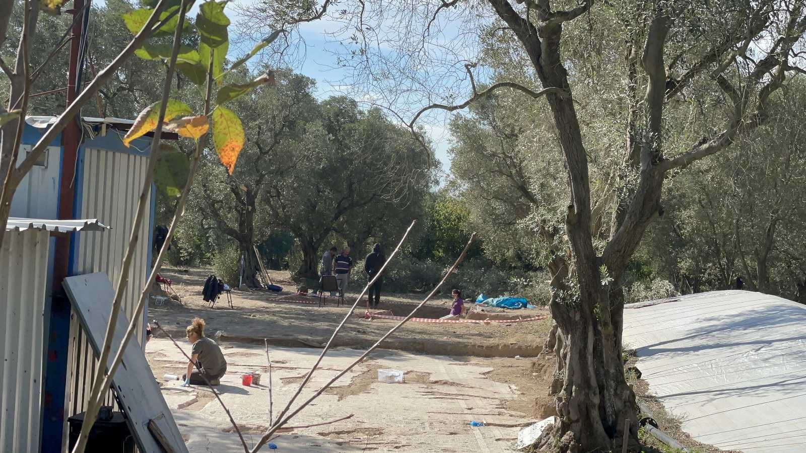 İznikte Sit Alanı İlan Edilen Zeytinlikte Lahit Bulundu