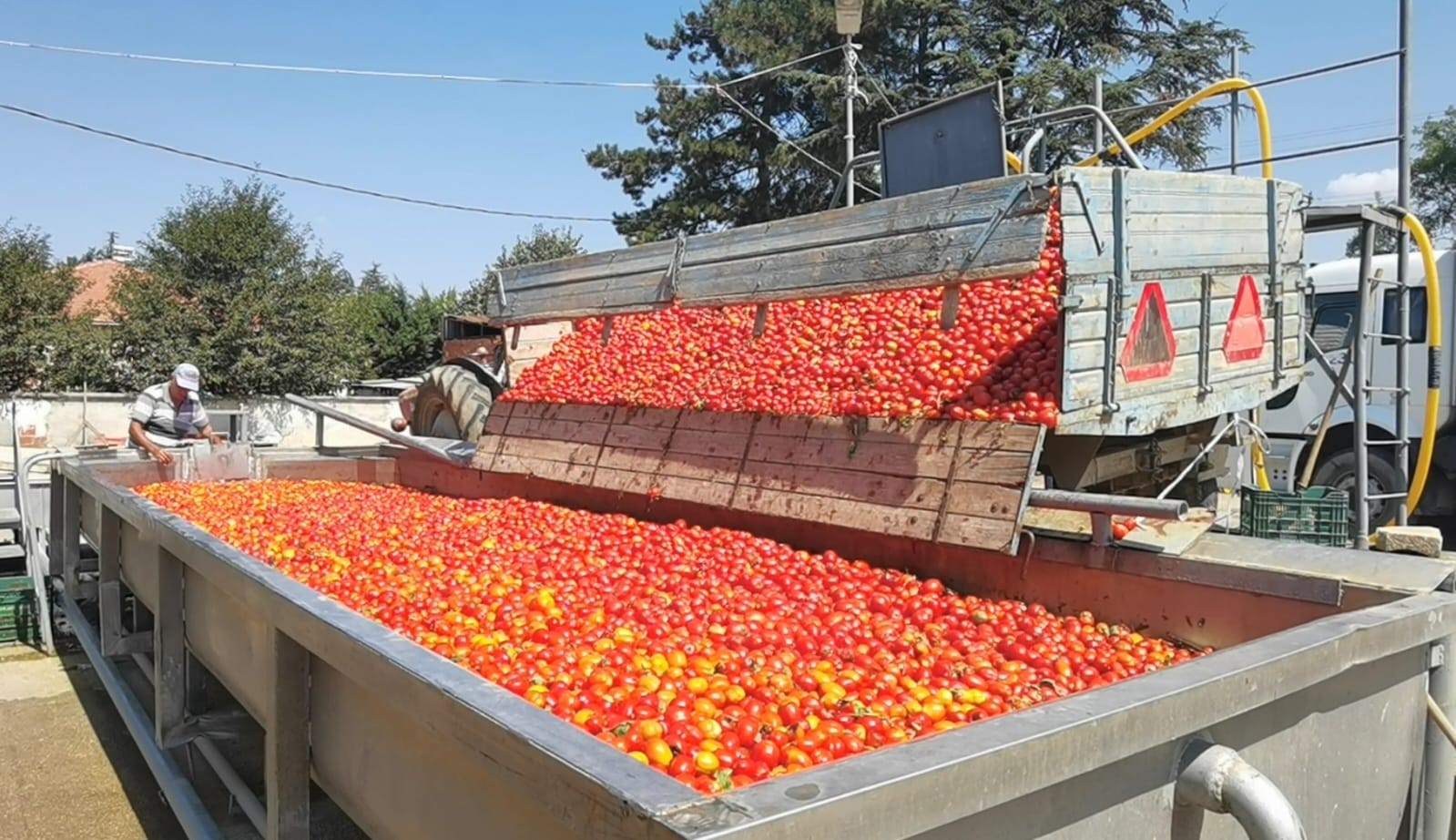 Kadınların Ürettiği Biber Salçası Hollandaya İhraç Edilecek