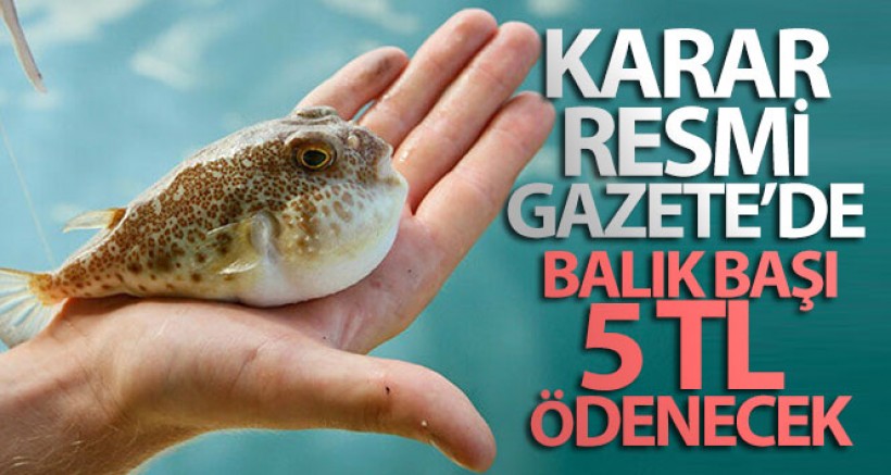 Karar Resmi Gazete'de Yayımlandı
