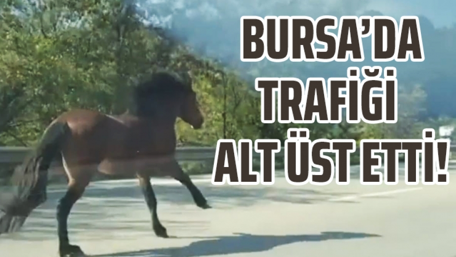 Bursa'da Trafiği Alt Üst Etti!