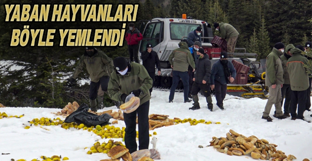 Karlı Kış Gününde Yaban Hayvanları Böyle Yemlendi