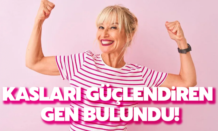 Kasları güçlendiren gen bulundu