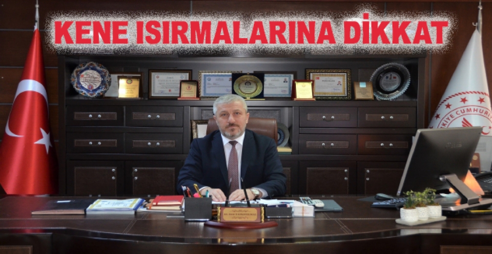 Kene Isırmalarına Dikkat