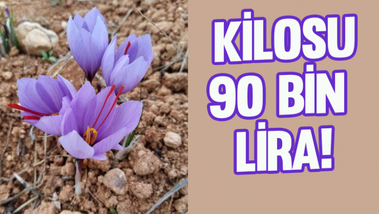 Kilosu 90 bin lira