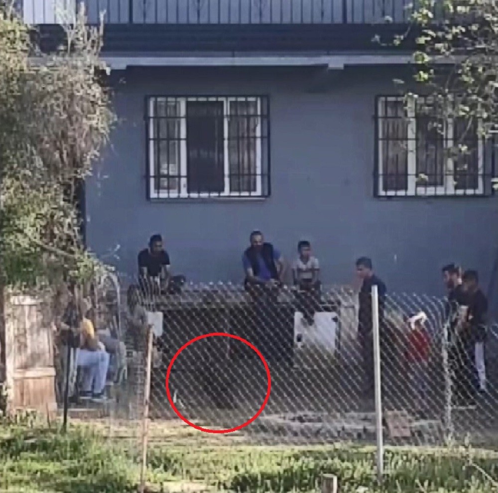 Kısıtlamada Horoz Dövüşü Kamerada