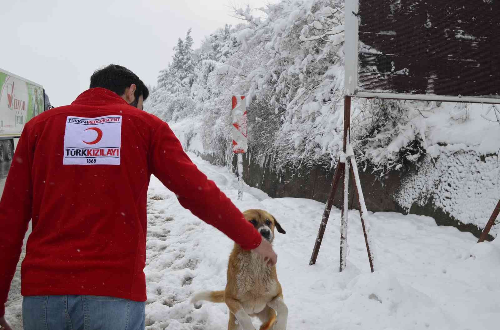 Kızılaydan Yürek Isıtan Çalışma