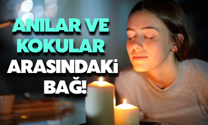 Kokularla modunuzu nasıl değiştirebilirsiniz?