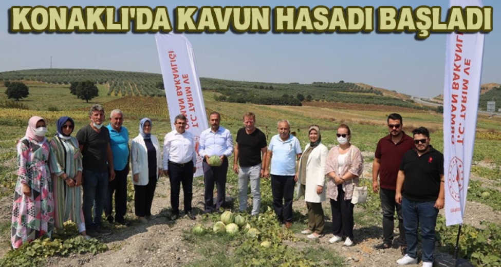 Konaklı'da Kavun Bereketi