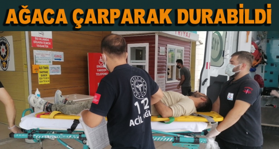 Kontrolden Çıkan Kamyonet Ağaca Çarptı; Sürücü Yaralandı