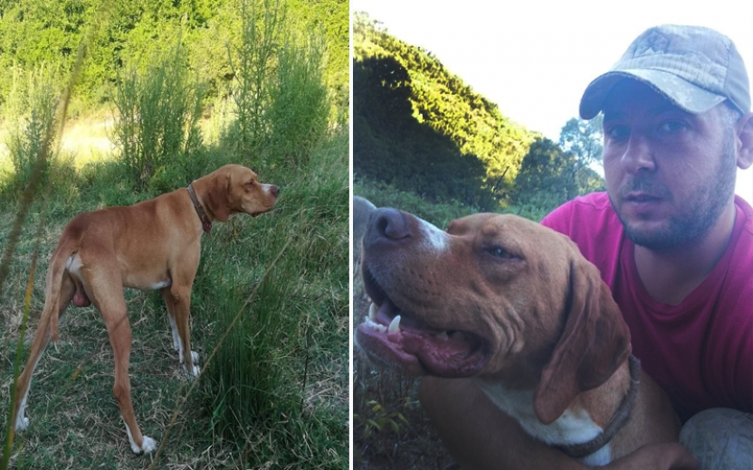 Köpeğini Çaldılar ,Bulana Kuzu Hediye Edecek!