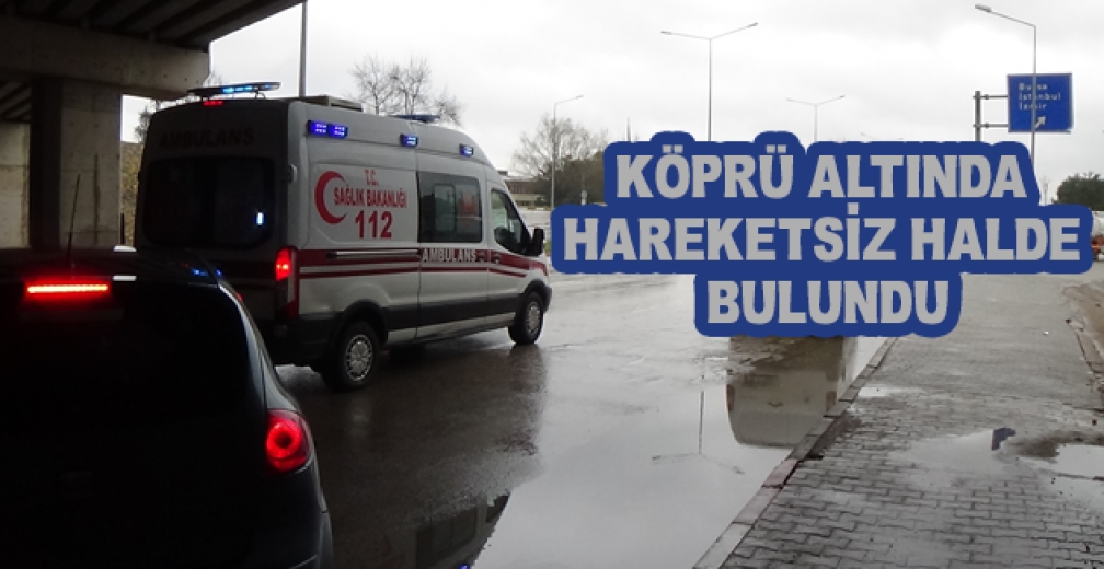 Köprü Altında Araç İçerisinde Hareketsiz Halde Bulundu