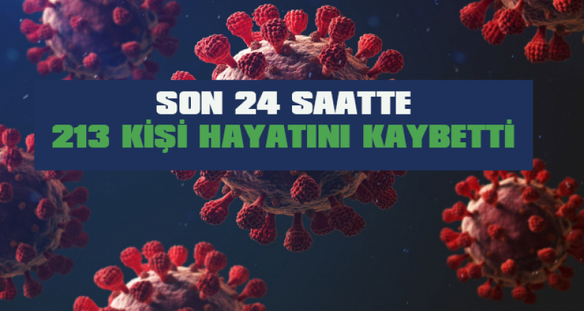 Korona virüsten 213 kişi hayatını kaybetti.