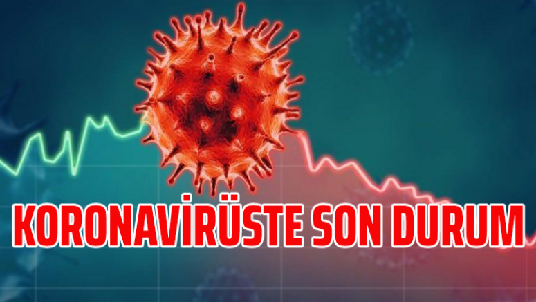 Koronavirüste Son Durum