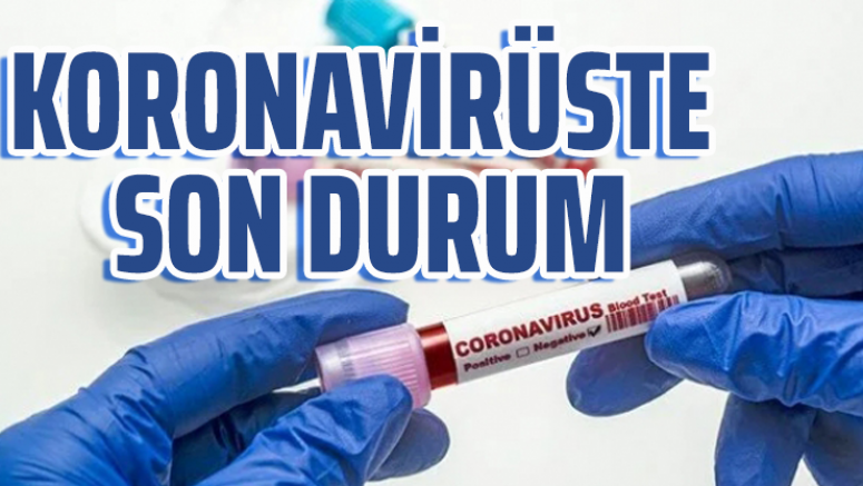 Koronavirüste Son Durum