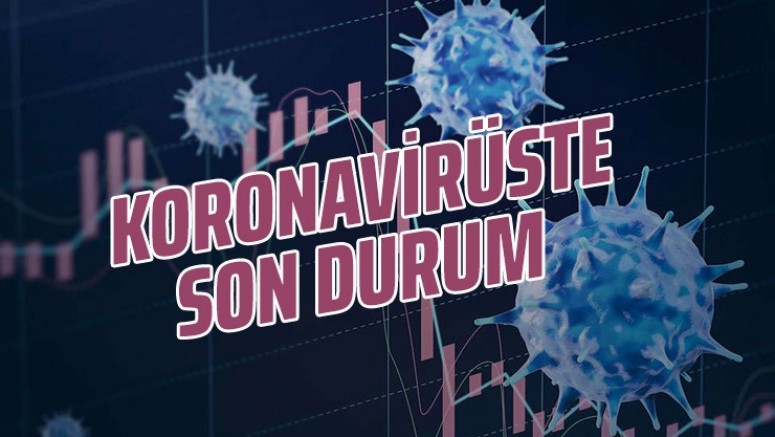 Koronavirüste Son Durum