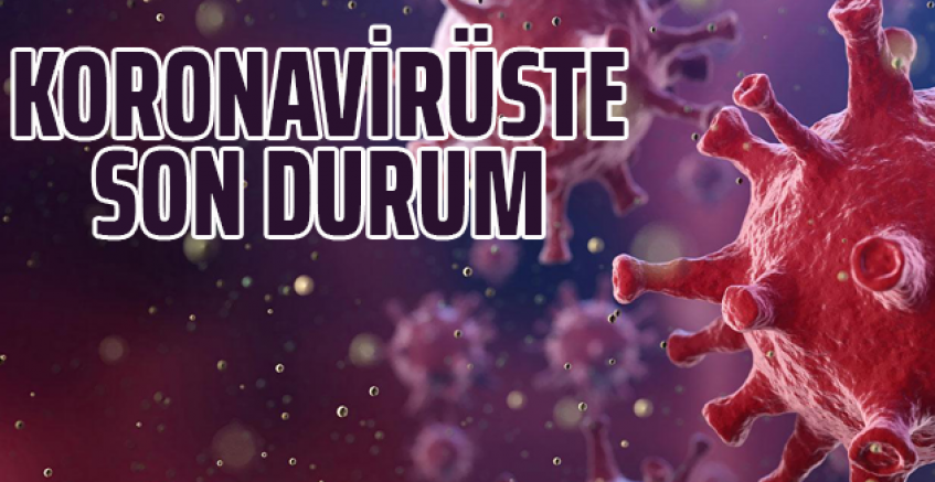 Koronavirüste Son Durum