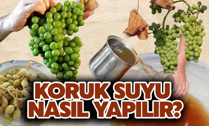 Koruk nedir? Koruk suyu nasıl yapılır? Koruk suyunun faydaları nelerdir?