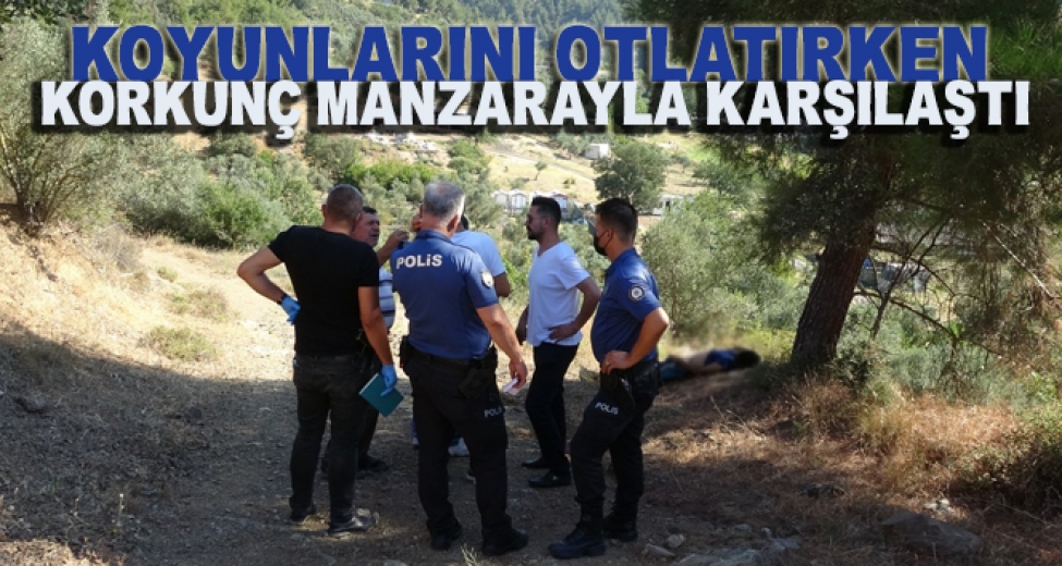 Koyunlarını Otlatırken Korkunç Manzarayla Karşılaştı