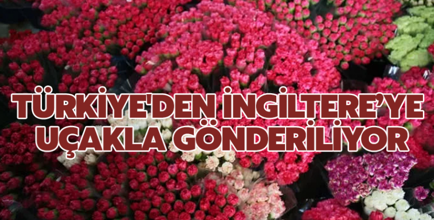 Kraliçe Elizabeth'in cenazesi talebi artırdı! Türkiye'den uçakla gönderiliyor