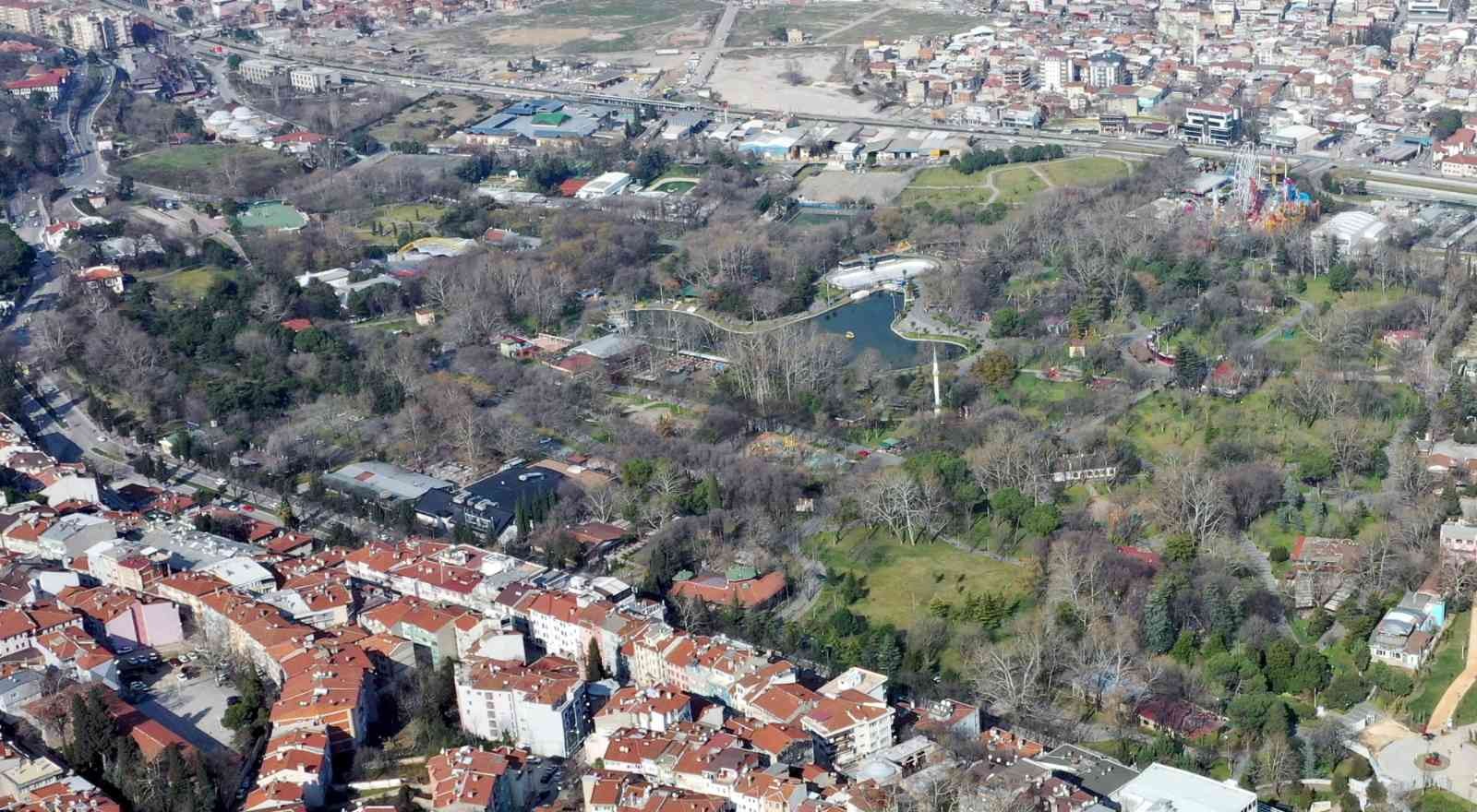 Kültür Parkta Gençleştirme Operasyonu