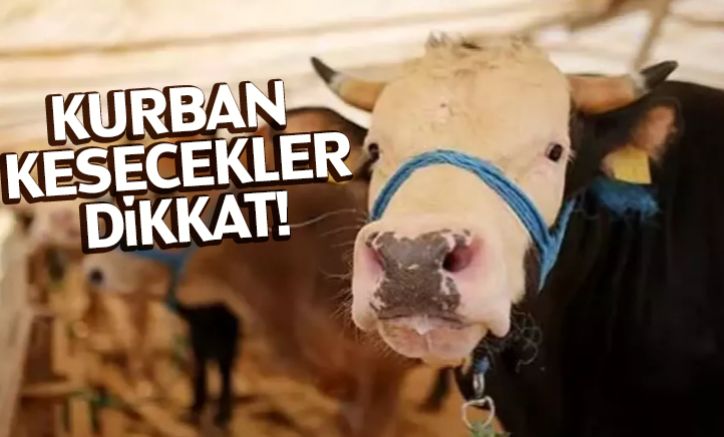 Kurban kesecekler dikkat!