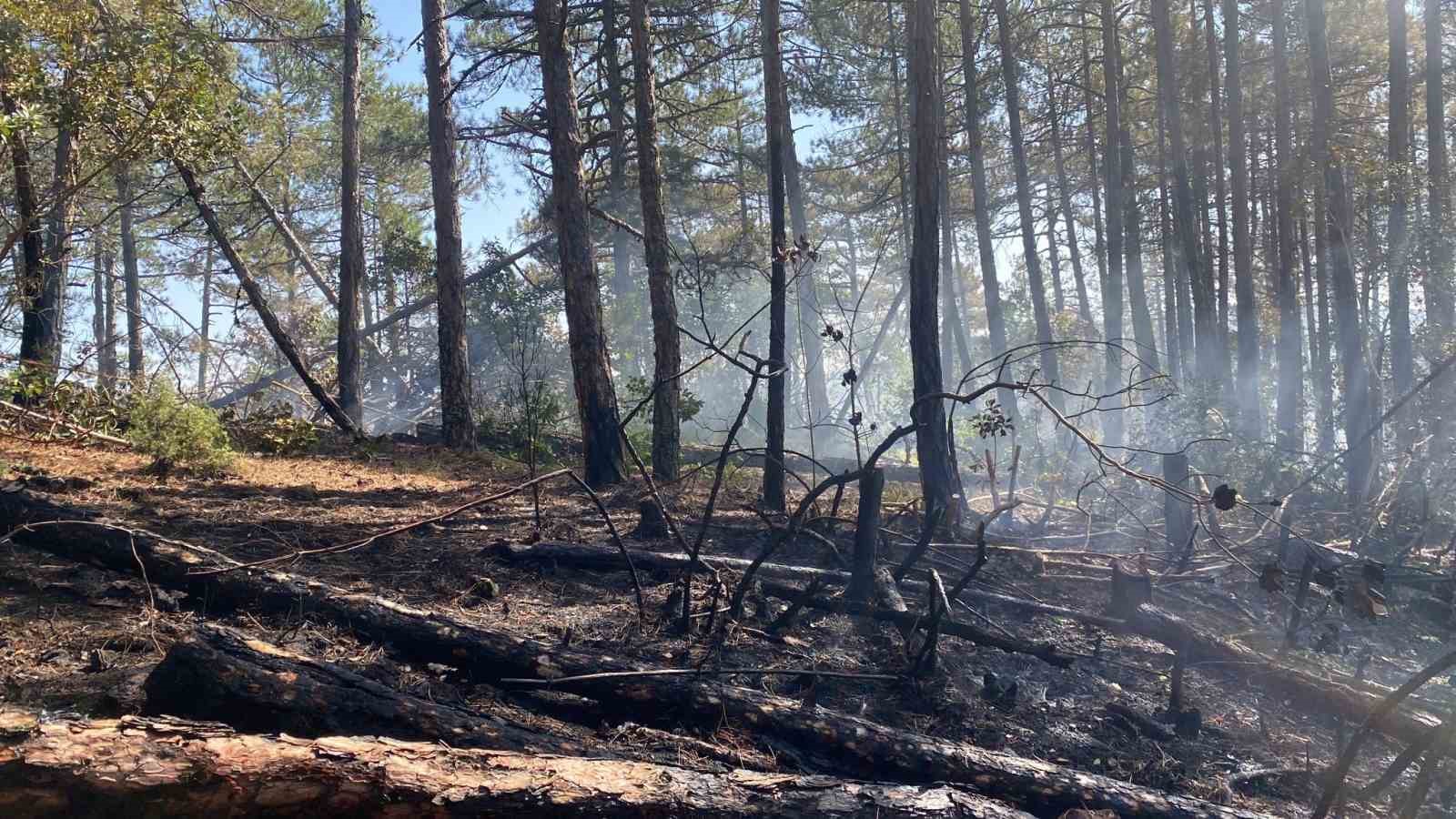 Kütahyadaki Orman Yangını İçin Bursada Da Seferberlik