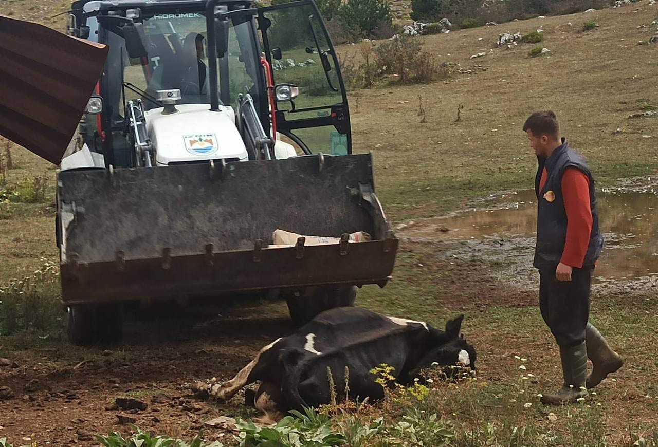 Mahalleyi Kene Korkusu Sardı