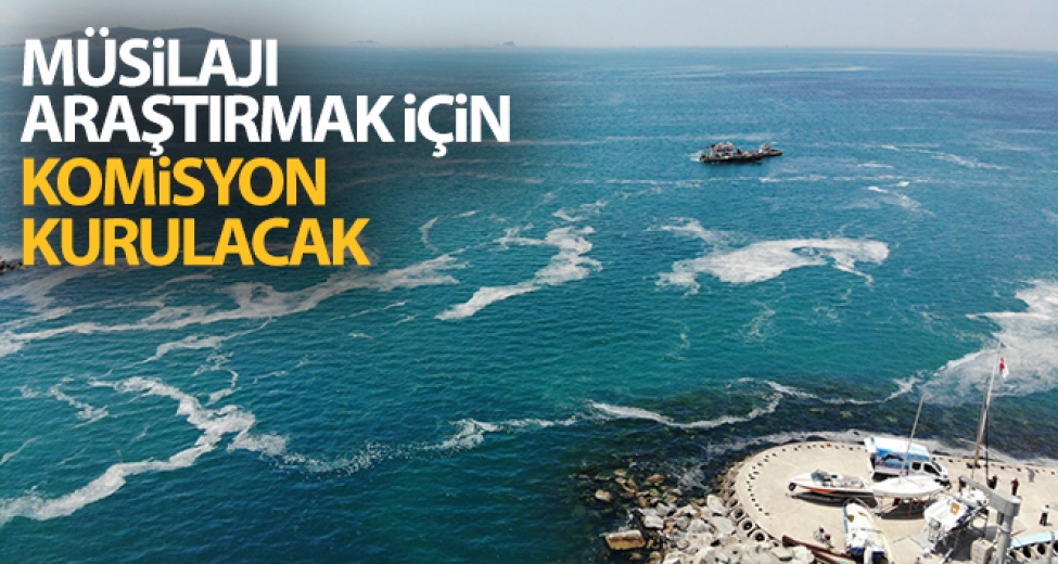 Marmara Denizi'ndeki Müsilajı Araştırmak İçin Komisyon Kurulmasına Karar Verildi