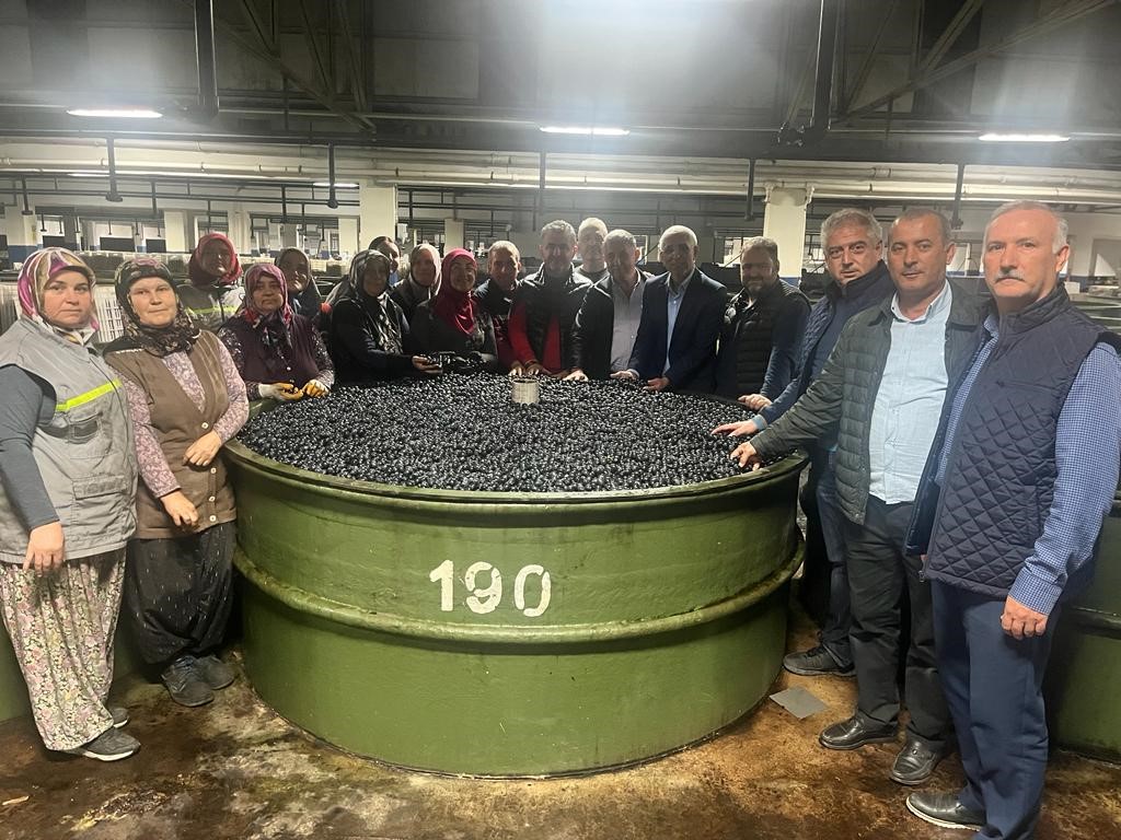 Marmarabirlikten Ortaklarına 137 Milyon Liralık Ödeme