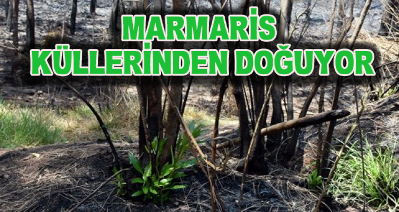 Marmaris'ten Yüzleri Güldüren Gelişme!