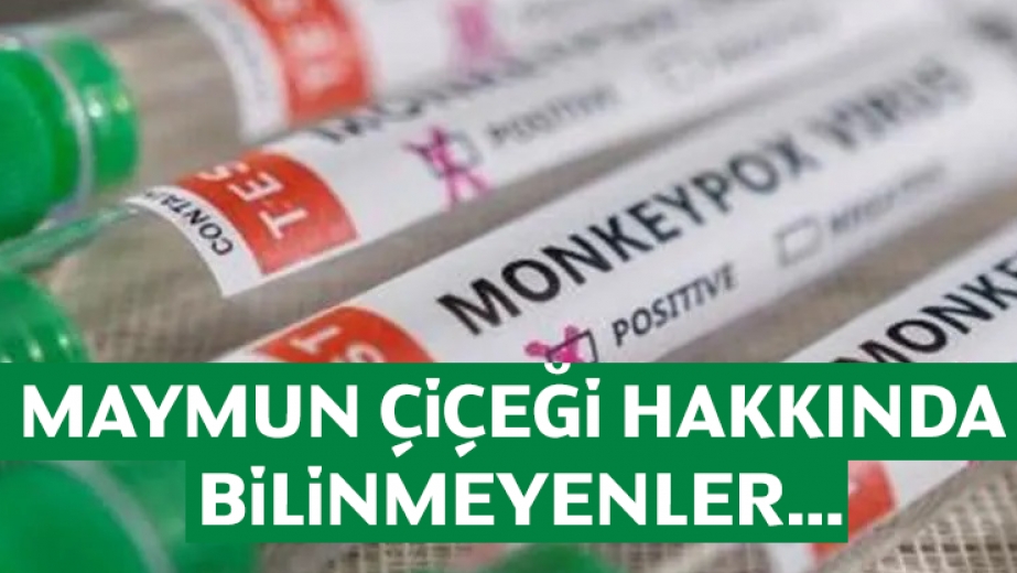 Maymun Çiçeği Hakkında Bilinmeyenler...