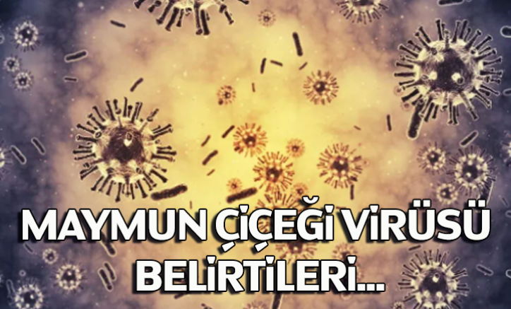 Maymun çiçeği virüsü belirtileri neler?