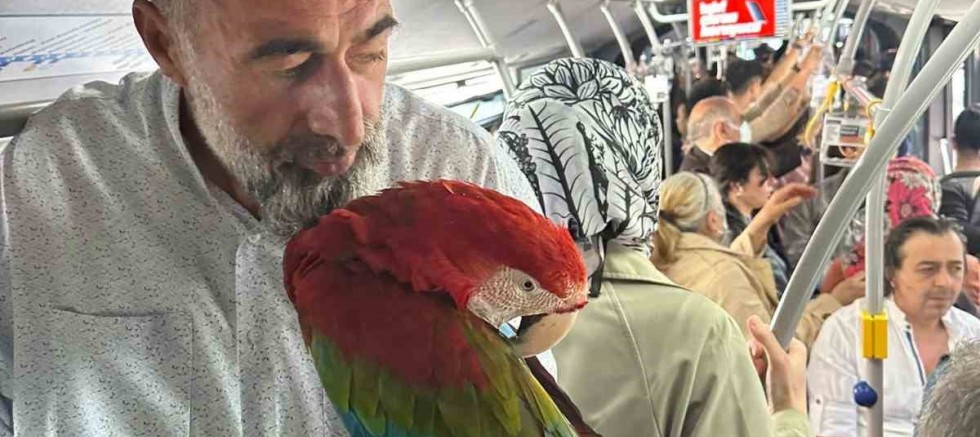 Metrobüse papağanıyla bindi, vatandaşlar şaşkına döndü