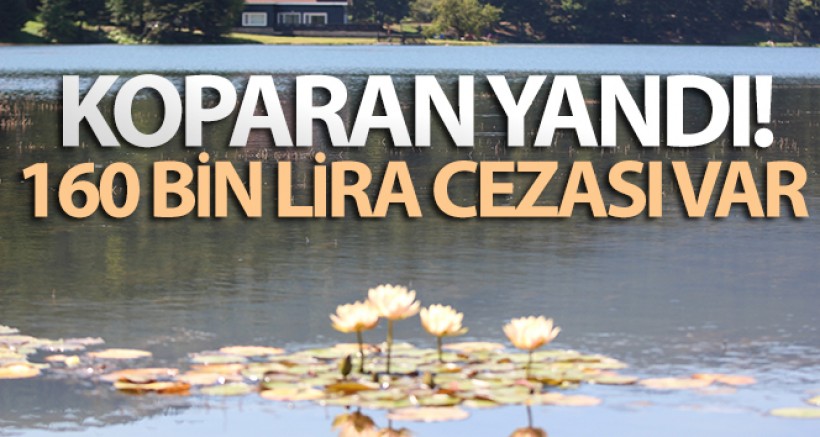 Nilüferleri Koparmanın Cezası 160 Bin Lira